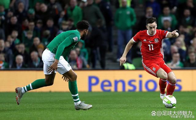 爱尔兰队遗憾负于匈牙利,无缘欧锦赛 爱尔兰队遗憾负于匈牙利,无缘欧锦赛