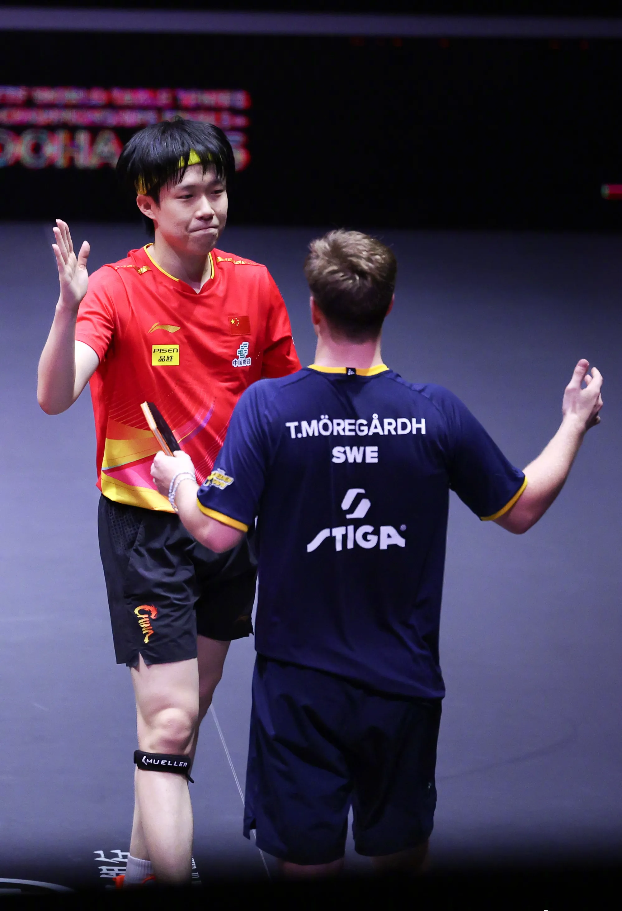 法国队完胜葡萄牙队，许昕惊艳四座