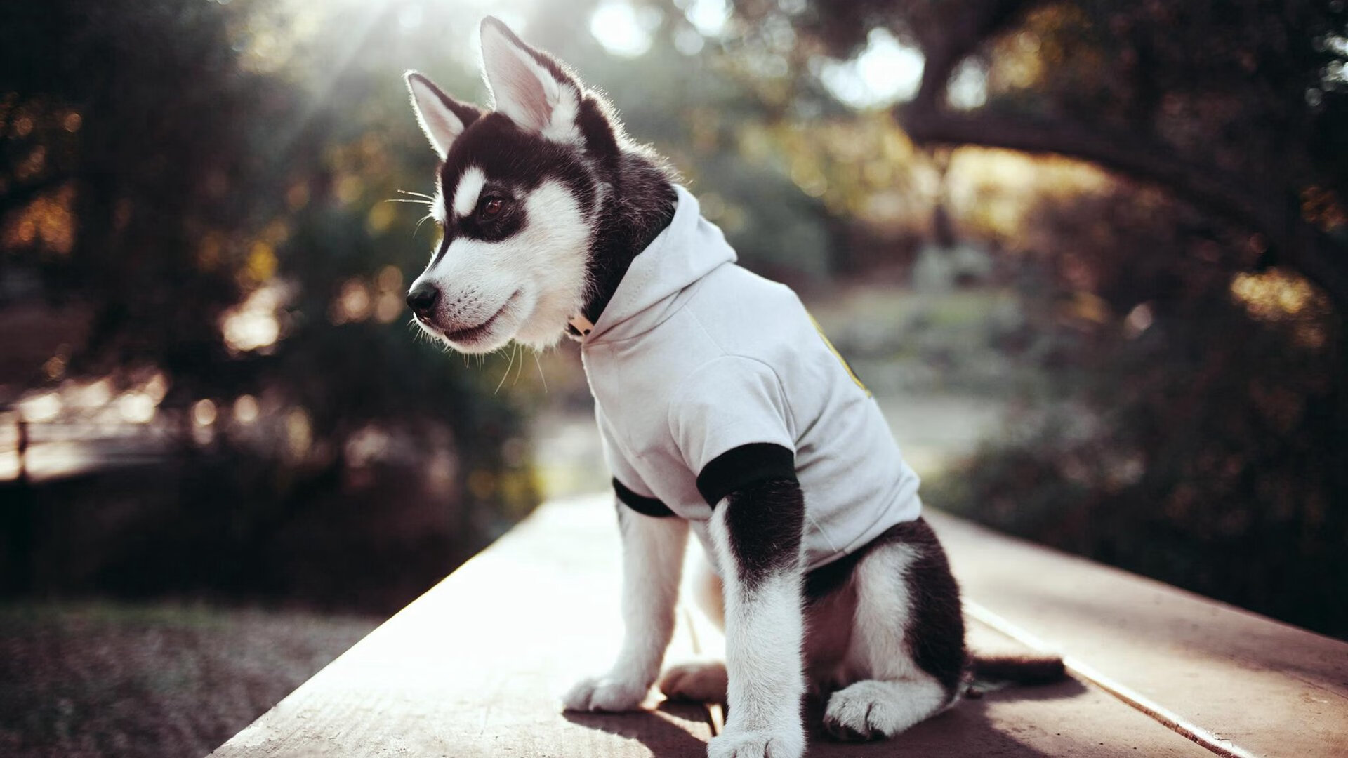 命运的足球场,当埃及遭遇厄瓜多尔,德布劳内是那个唯一的大场面先生?