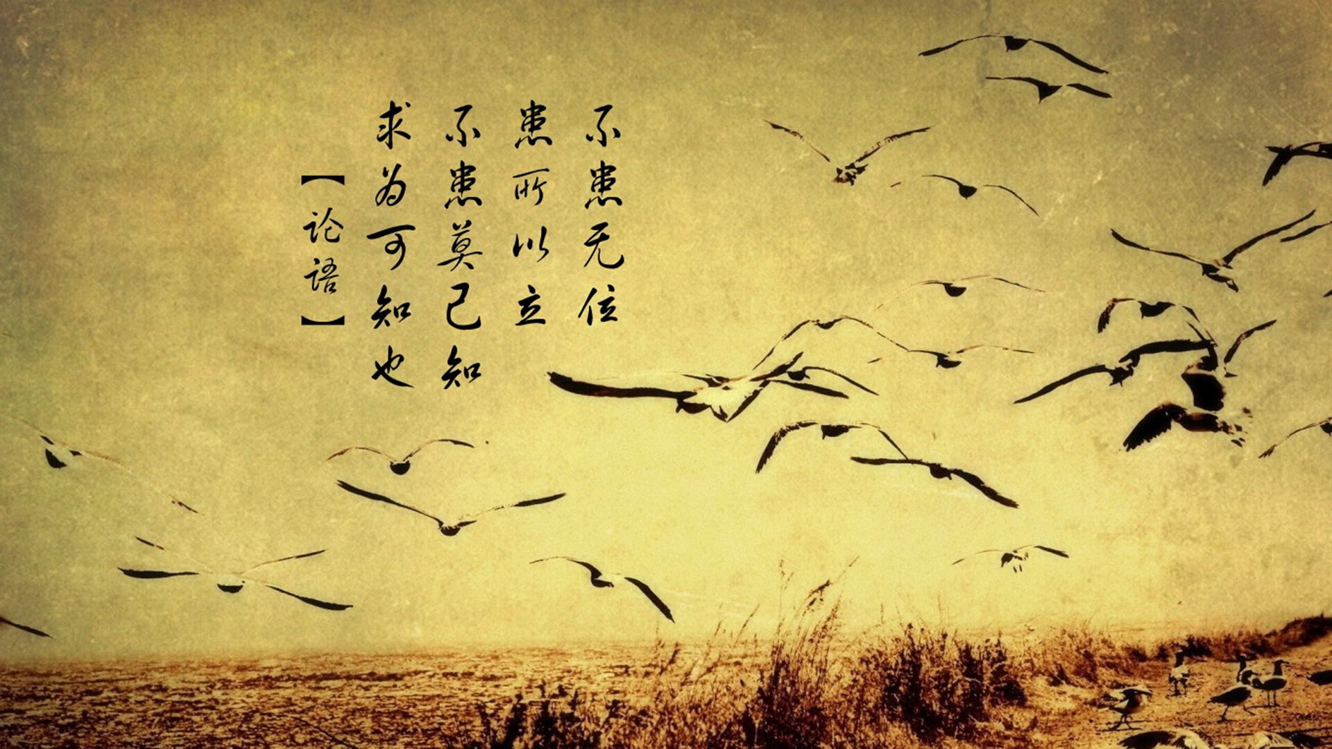 完美降临上海滩,杰伦格林魔法之夜,尼克斯击溃深圳队奏响强者之音