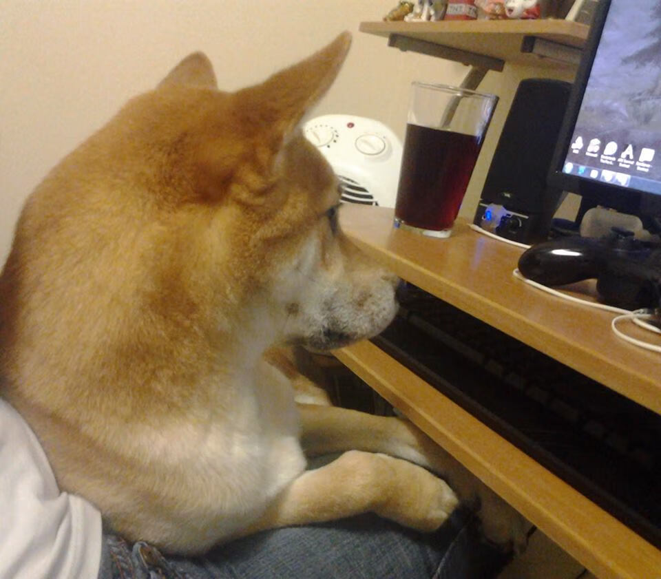 雷火电竞网址-当篮球豪门踢起足球，2026世界杯魔幻焦点战，76人篮足跨界力克上海海港