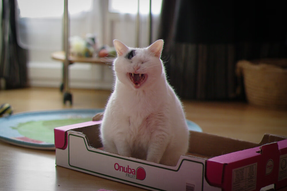 泰山压顶时,他化作暴雨,恩比德的西决生死夜与团队的节奏革命