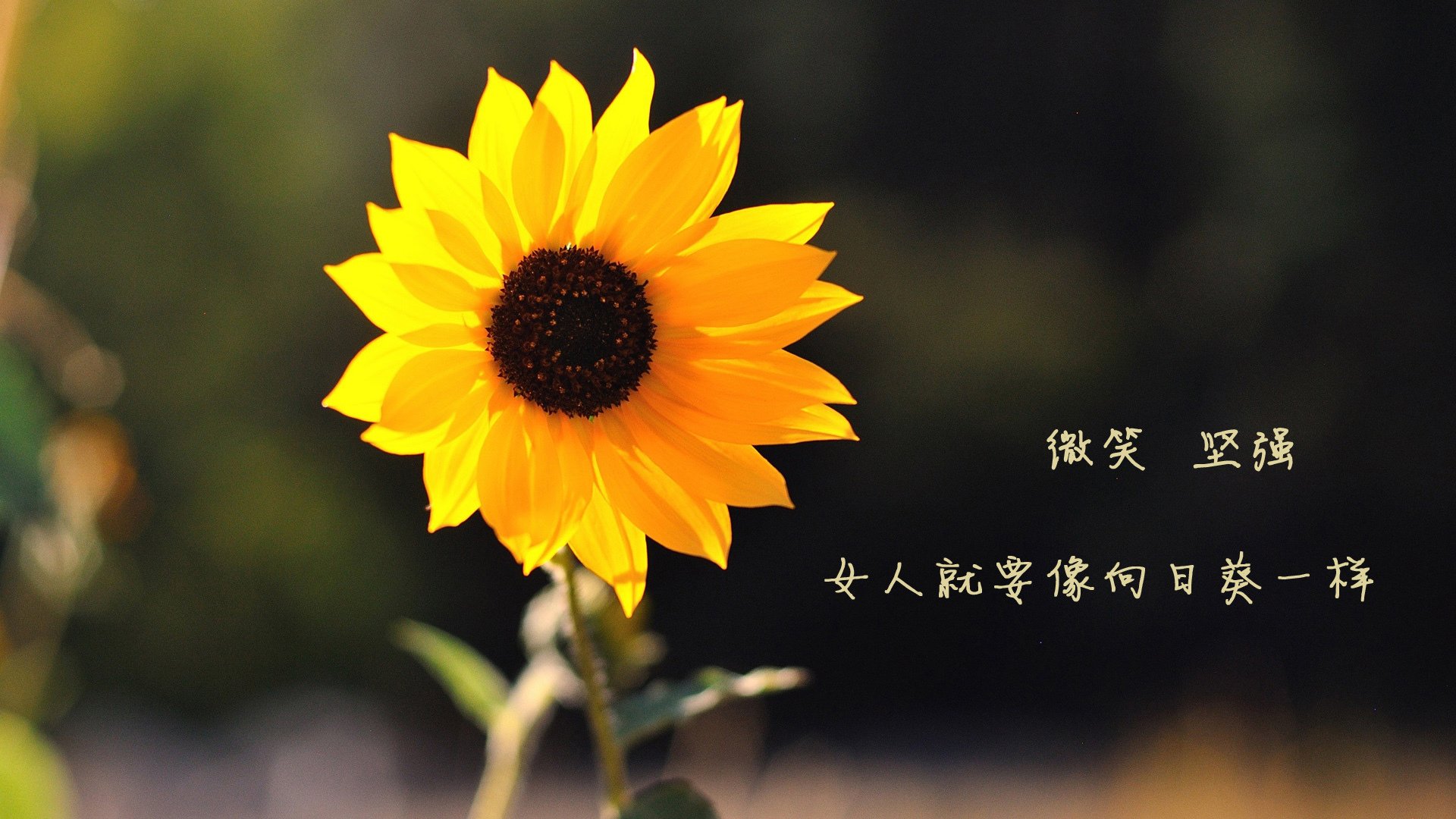 唯一绝唱,萨拉赫临别赠礼,美国明星联队压哨绝杀雷恩