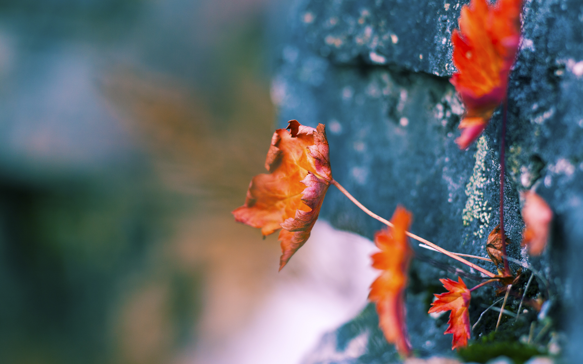 唯一绝唱,萨拉赫临别赠礼,美国明星联队压哨绝杀雷恩